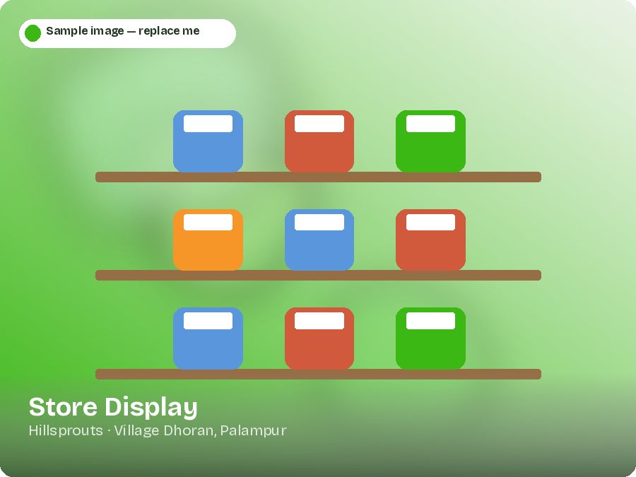 Store Display